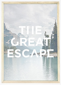 Faunascapes Poster Print The Great Escape