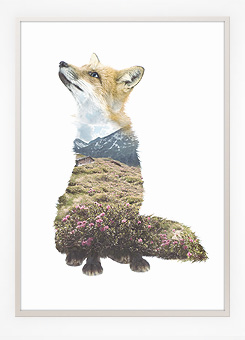 Faunascapes Poster Print Fox