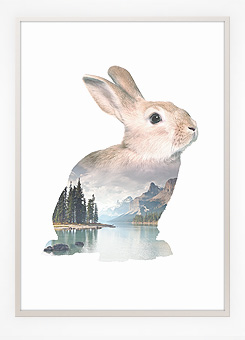 Faunascapes Poster Print Rabbit