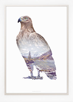 Faunascapes Poster Print Brown Eagle