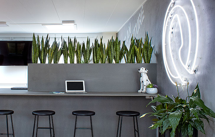 Specialdesignet møbel bygget op i grå MDF. Møblet er formet som et barbord og med løse sorte barstole foran. Oppe på bordet står en indbygget blomsterkasse og på væggen til højre hænger et hvidt neonskilt med firmaets logo. På bordet står en lille statue af en dalmatiner hvalp.