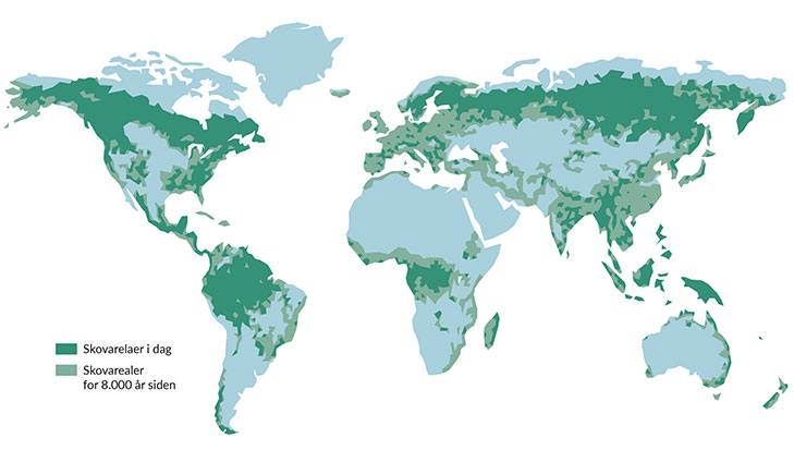 Udryddelsen af store skovarealer over hele kloden har stor betydning for den dalende biodiversitet.